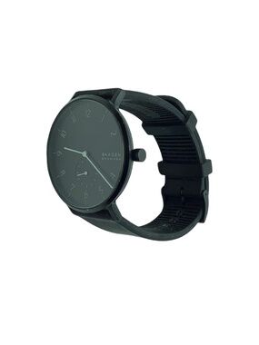 Skagen Aaren Kulor Watch
